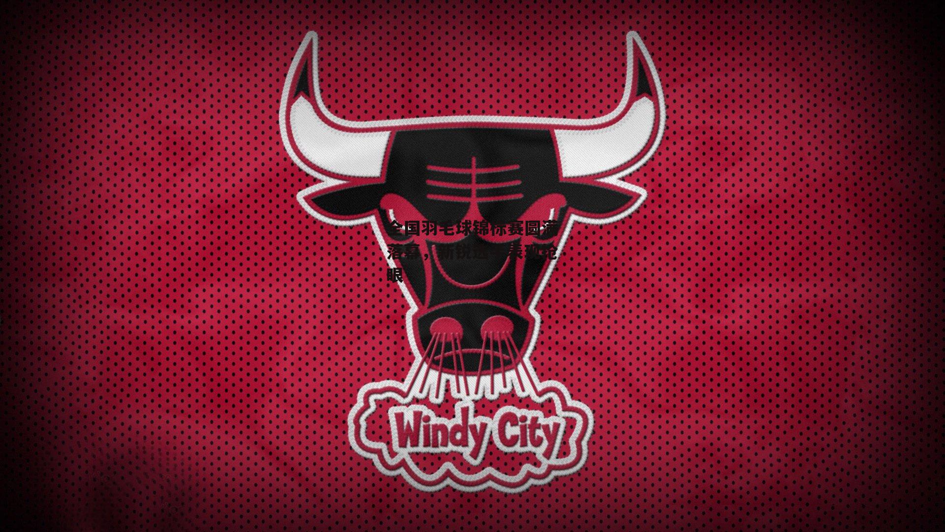 全国羽毛球锦标赛圆满落幕,新锐选手表现抢眼