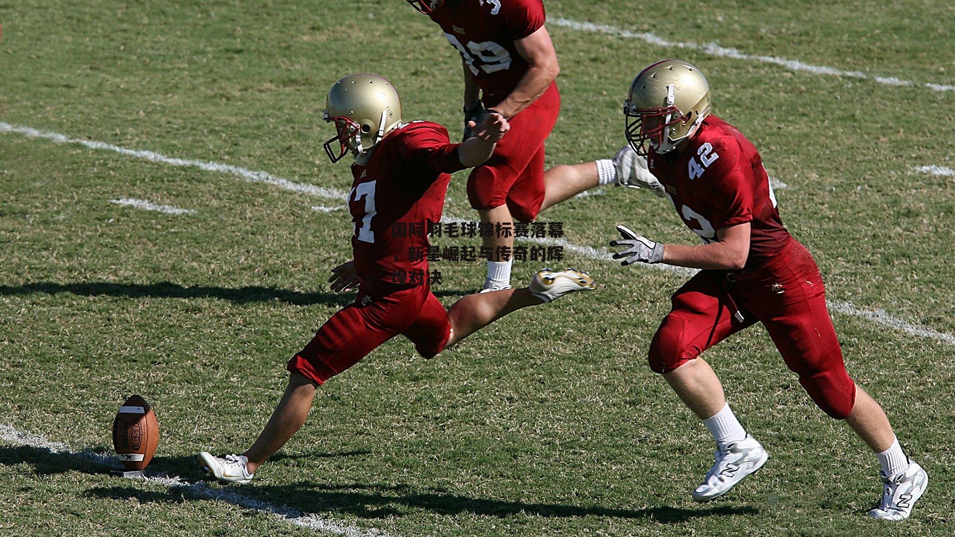 国际羽毛球锦标赛落幕,新星崛起与传奇的辉煌对决