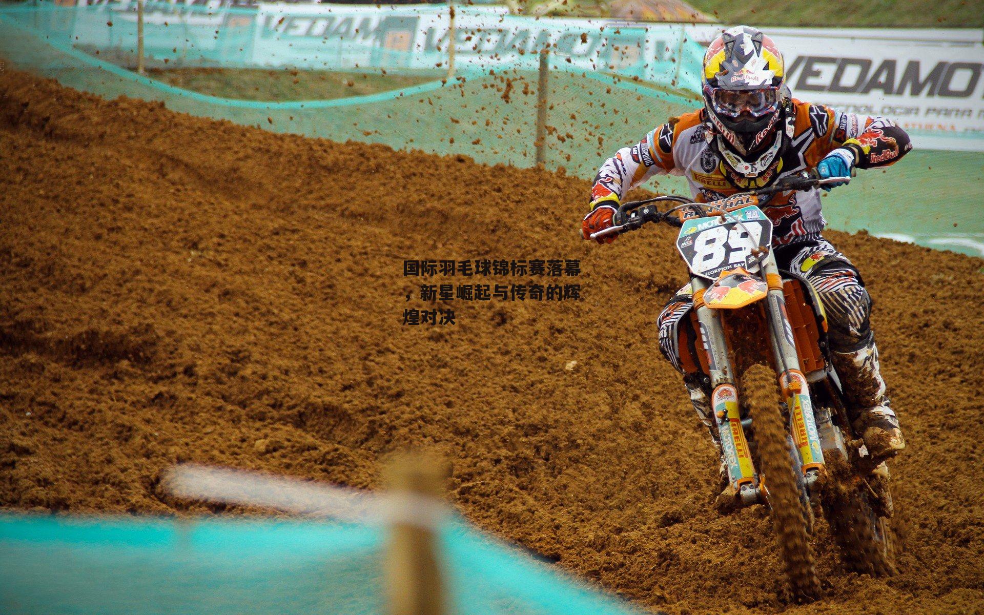 国际羽毛球锦标赛落幕,新星崛起与传奇的辉煌对决